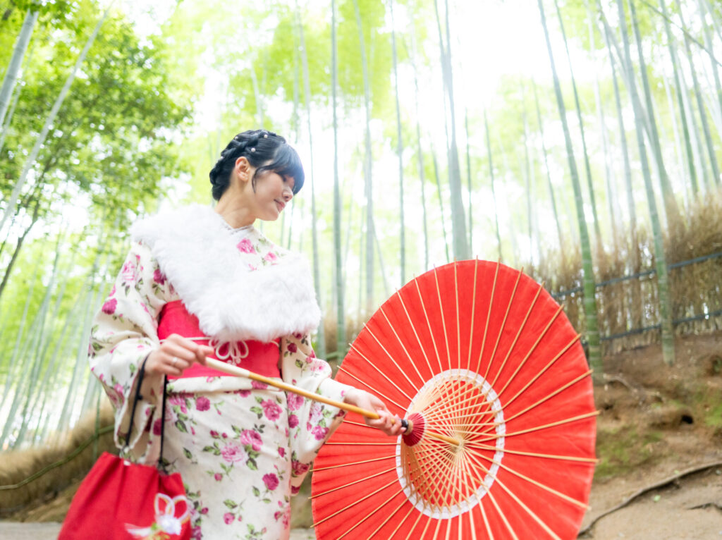 女性小紋 嵐山 和傘