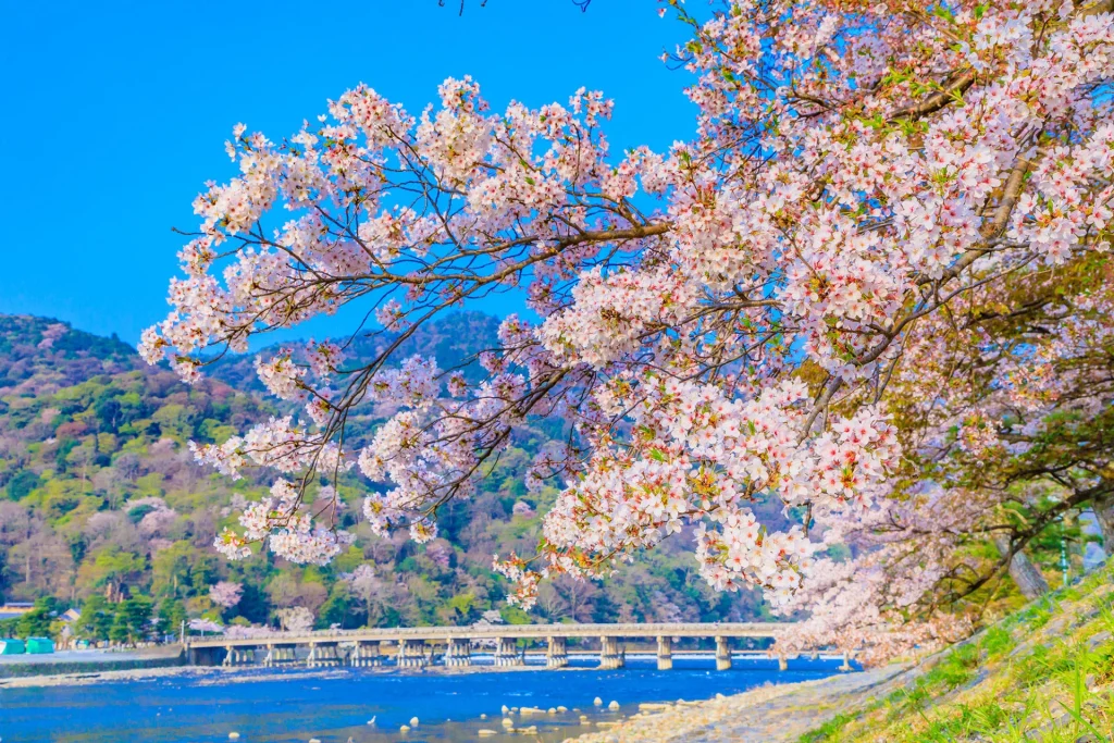 嵐山周辺のおすすめスポット