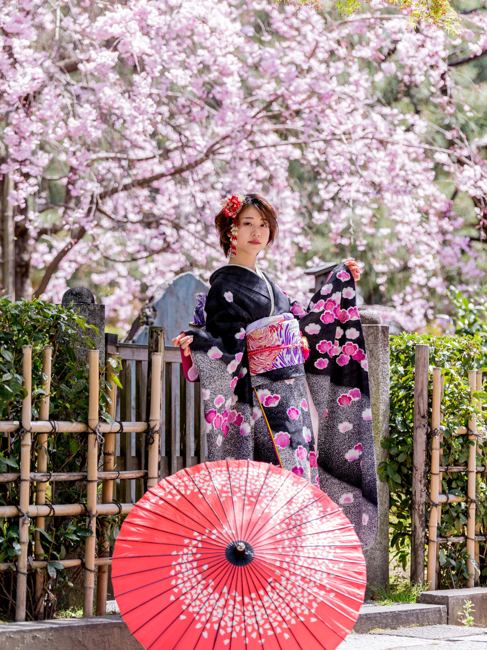 桜 振袖