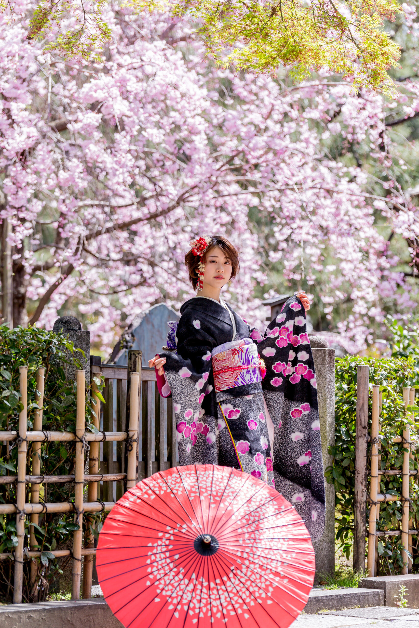 桜 振袖