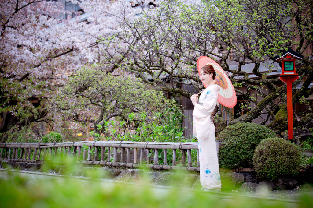 訪問着 さくら 和傘